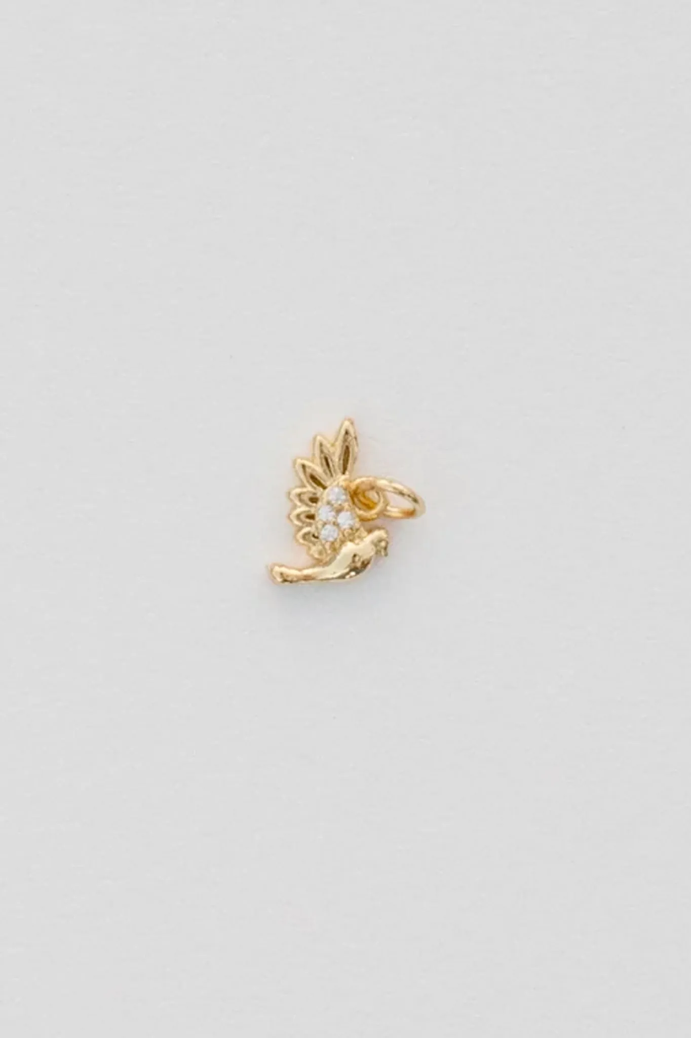 Dove Charm