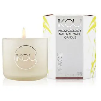 iKOU Eco-luxury Aromacology Candle Glass Small